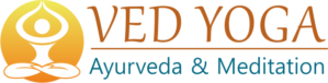 vedyoga logo